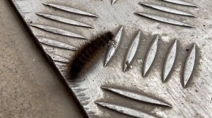 186 Купили дом. Наши покупки на 7300 рублей. Эмоции через кра