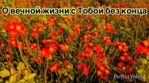 СВЕТ - ЕСЛИ БЫ НЕ ТЫ 6.