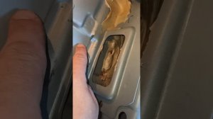 Ford C-max причина появления воды в багажнике