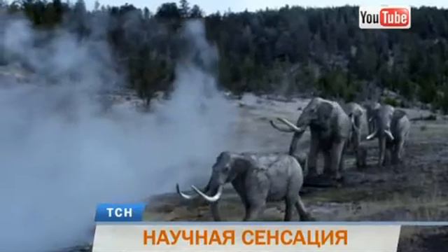 Палеонтологи обнаружили в Прикамье несколько скелетов доисторических животных смотреть онлайн