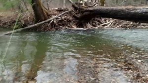 ХАРИУС 2023 НА МУШКИ.ПРИМОРСКИЙ КРАЙ