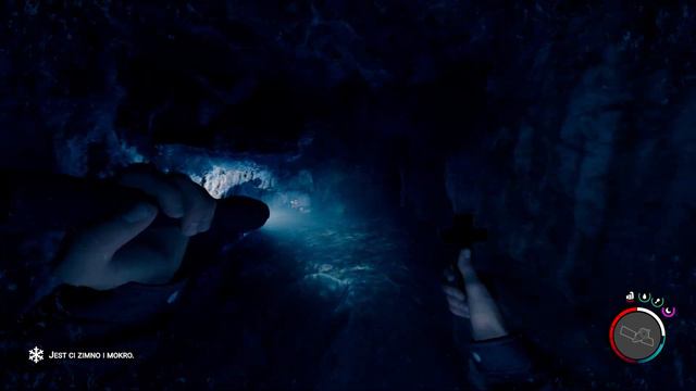 [#8][WERSJA 1.0][PL] Sons Of The Forest - CZAS EKSPLOROWAĆ! смотреть онлайн