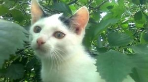 МОЙ ДОМ - РОССИЯ