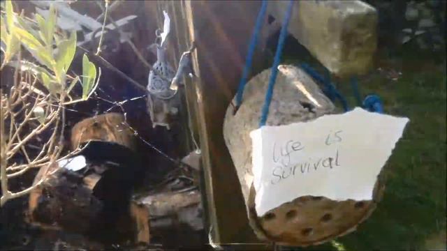 Sonnet #1 (A Poetry Film) by Rob Sidey & William Steele смотреть онлайн