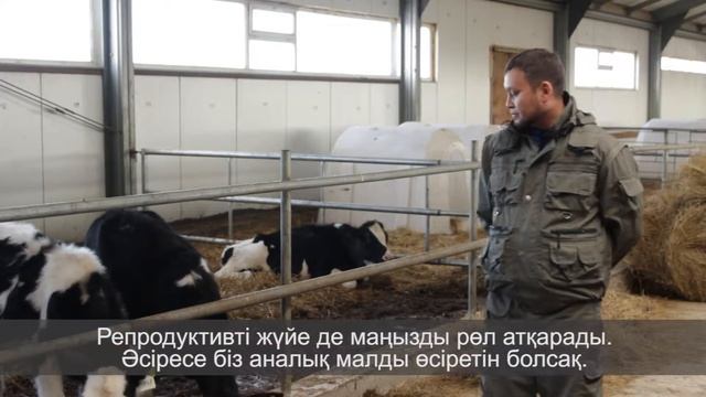 Применение кормовых добавок в рацион молодняка