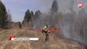 Пожаров было меньше, леса сгорело больше