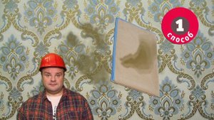 Как вывести жирное пятно на обоях