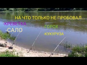 БОЛЬШОЙ ЭКСПЕРИМЕНТ НА ДОНУ