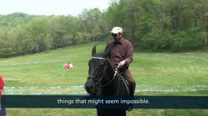 Tributo to Falco, Oberto Airaudi, 1950 - 2013 (EN/IT)