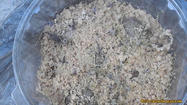 Картофель Посадка В Мешки смотреть онлайн