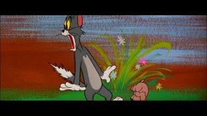 Tom & Jerry in italiano | Spike, padre dell'anno | WB Kids