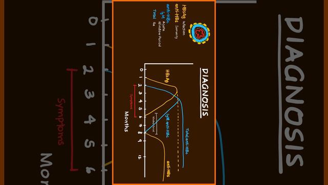 Part 3/4 Hepatitis B Serum Markers #usmle