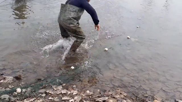 Рыбалка  в Таджикистан Шахринав 2021.за рас 500 кг рыбу поймали.