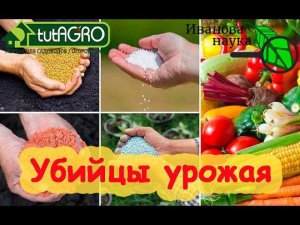 ШОКИРУЮЩАЯ ПРАВДА о МИНЕРАЛЬНЫХ УДОБРЕНИЯХ. Это надо знать КАЖДОМУ ОГОРОДНИКУ! Берегите землю!