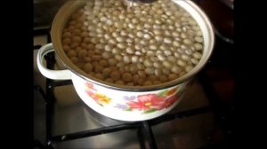 Тормос Как приготовить люпин.How to cook lupin