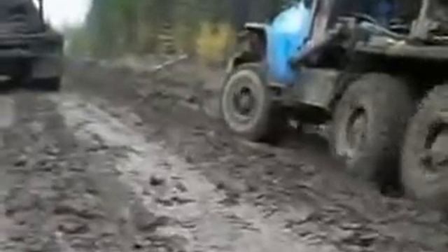 СИБИРЬ.ТАЙГА