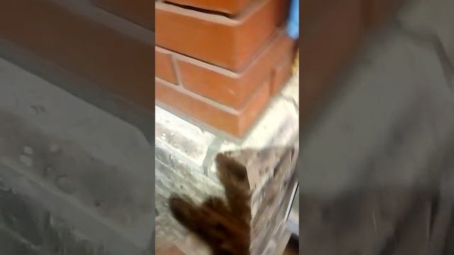 6.мангал, печь+столешница из кирпича ручной формовки