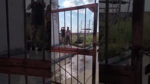 До смерти забили молотком собаку в Новомальтинске 1