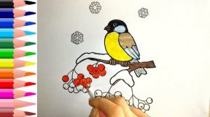 Как раскрасить птицу синицу / Раскраски для детей / Раскраска птиц / / Детская Комната РАСКРАСКИ
