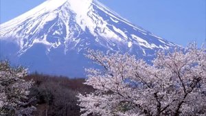 "Покорители вершин", МБОУ "СОШ №76" г.Барнаул