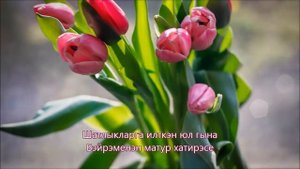 Туган конен белэн!