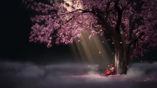 Живые обои - Sakura Drop Animated смотреть онлайн