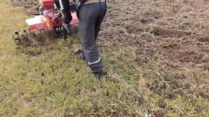 Мотоблок Фермер. Плуг не взял целину. Пробуем фрезами перекультивировать.