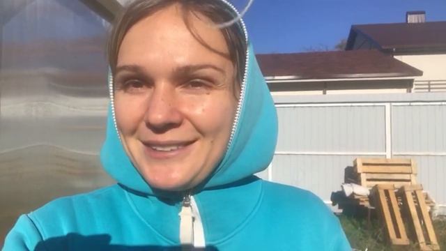 Вермизакваска выращивание эко овощей для здоровой жизни.