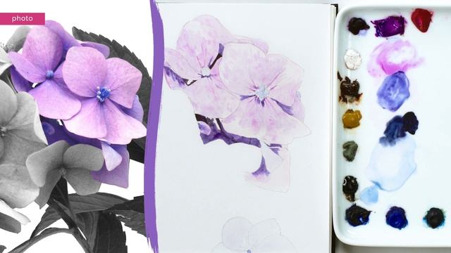 How to paint realistic Hydrangea flowers in watercolour with Anna Mason смотреть онлайн