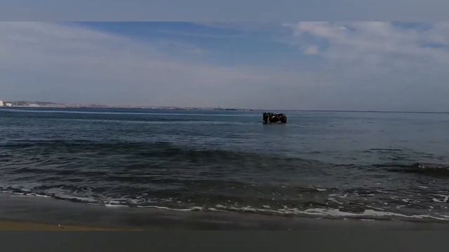 RACEHORSE SEA SWIMMING ПЛАВАНИЕ ЛОШАДЕЙ В МОРЕ #КОНИ #КОННЫЙСПОРТ смотреть онлайн