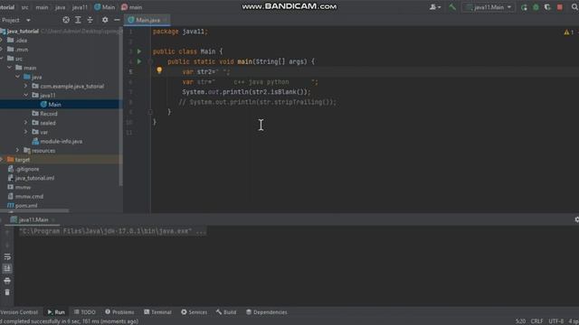 Java 11 String API Additions смотреть онлайн