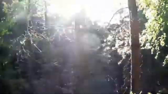 Поветлужье.ВО СНЕ И НАЯВУ (автор.)