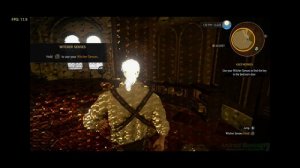 Yuzu Nintendo Switch Emulator Android - The Witcher 3: Wild Hunt / SD 8 Gen 2 / Turnip (Yuzu EA)