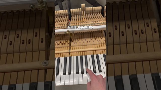 Fixing a Weird Problem in a Grand Piano