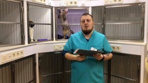 Стационар для животных. Рассказывает CentrVet