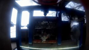 Шредер измельчитель против человеческой руки