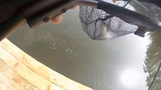 Активный клёв форели на озере Трофейном 25.03.2017 тест спиннинга Favorite Arena Limited Edition