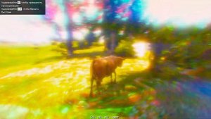Где находятся лофофоры в GTA 5