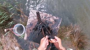 И снова морской червь нереис