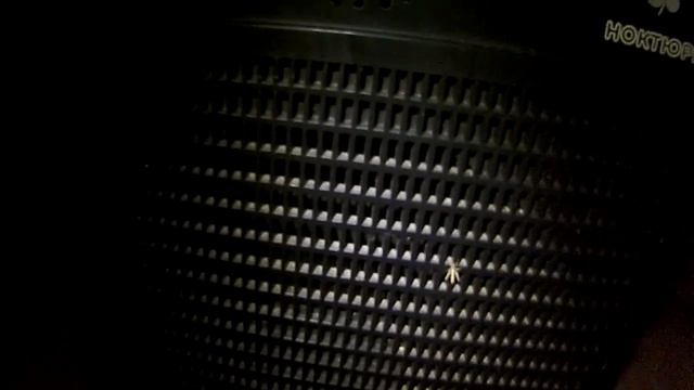 Детекторный радиоприёмник с усилителем НЧ на природе. смотреть онлайн