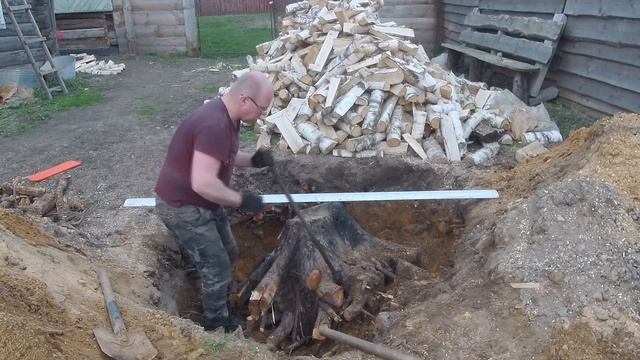Лучший способ избавления от ненужного пня
