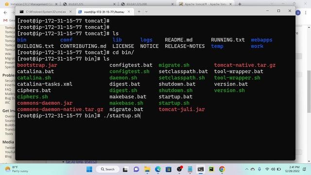 How to Install Tomcat Application Server on Amazon Linux смотреть онлайн