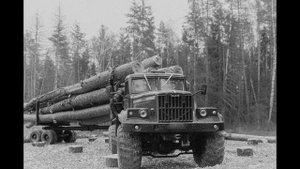 Лесовозы. Вывозка леса в хлыстах. Вытегорский район.
