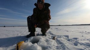 Окунь. Оз. Сиверс (Sivers). На Рыбалку, для души!!!