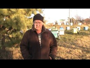 МОЖНО ЛИ ЗАРАБАТЫВАТЬ НА ПЧЕЛОВОДСТВЕ?