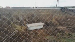 бурение скважины на воду, пески водоносные, водоизвержение, итог прокачки,