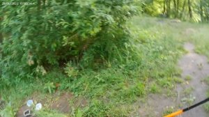 Рыбалка на Генеральском озере(озеро Генерал) или Черепахи тоже клюют в Подмосковье