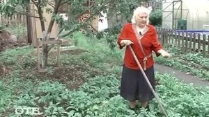 Дачники: как окучивать картошку