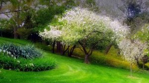 Самая красивая мелодия на свете! Эту музыку можно слушать вечно! красивая музыка Сергей Грищук