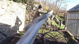 Плодов не будет! Если не укрыть инжир на зиму.